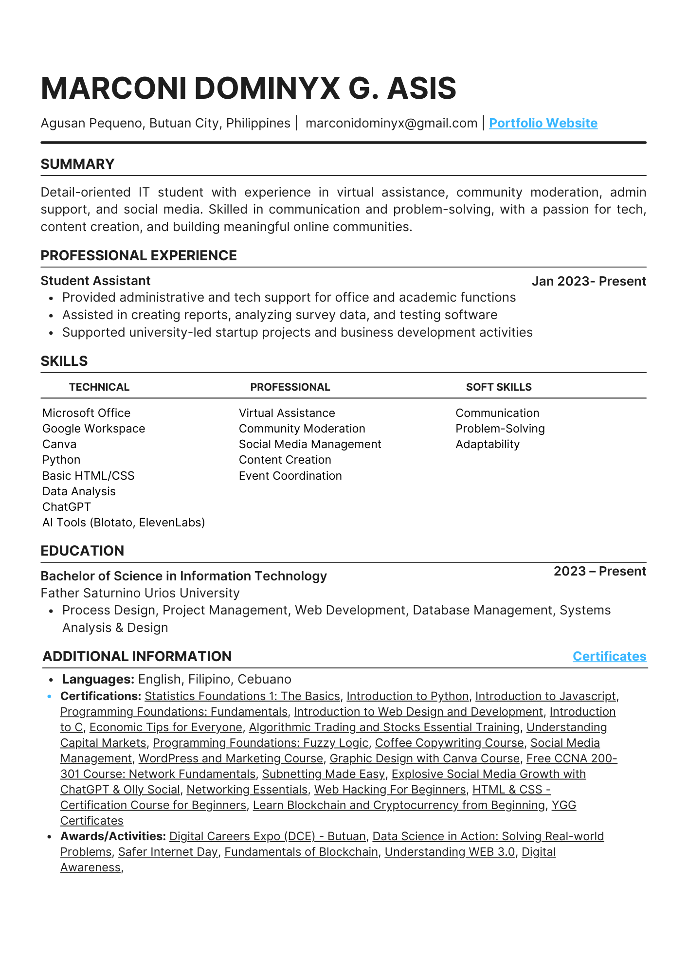 Resume Preview
